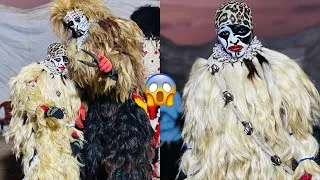 Miniature : 😱🔥Simba faux lion 🦁 Samba sow et son groupe 😱