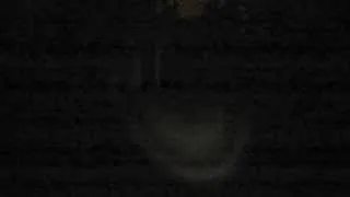 Miniature : Slender Episode 2 [FR] [HD]