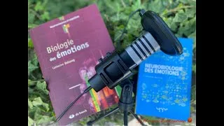 Miniature : Cerveau & émotions – Entretien avec la neuroscientifique Catherine Belzung