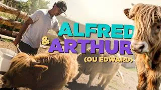 Miniature : ALFRED a encore tout cassé à la ferme... 💥