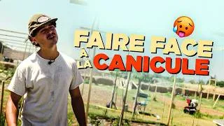 Miniature : Ne perdez pas tout cet été : la méthode anti-CANICULE ⚠️