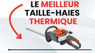 Miniature : 🥇TOP 4 : Meilleur Taille-Haies Thermique 2026