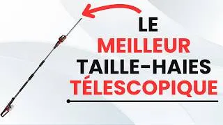 Miniature : 🥇TOP 4 : Meilleur Taille Haies Télescopique 2026