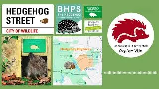 Miniature : Hedgehog Street [parangon]🦔