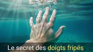 Miniature : Doigts fripés | Ce que votre système nerveux fait vraiment