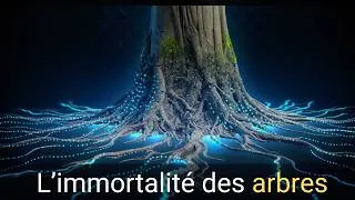 Miniature : Le secret invisible qui permet aux arbres de défier le temps