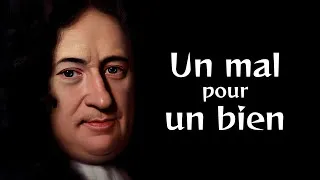 Miniature : LEIBNIZ - La fonction du mal