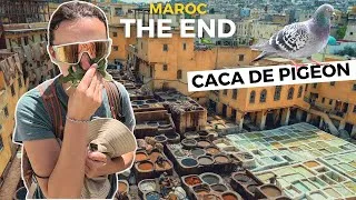 Miniature : Descendre dans les bassins d’une tannerie marocaine ? (spoiler : ça pue VRAIMENT)