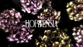 Miniature : LEAF. - Hortensia