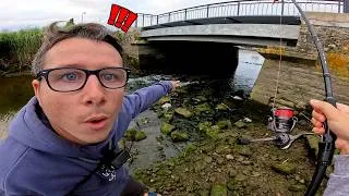 Miniature : On pêche sous des structures en mer et on attrape plein de poissons !