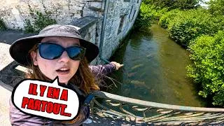 Miniature : Je pêche dans la rivière d'enfance de mon père, elle est remplie de poisson...