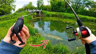 Miniature : Je pêche avec cette grenouille dans ce canal plein d’herbiers, les attaques sont violentes !!!
