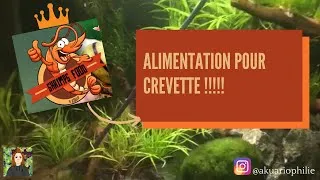 Miniature : NOURRITURE pour crevette // SHRIMPSFOOD