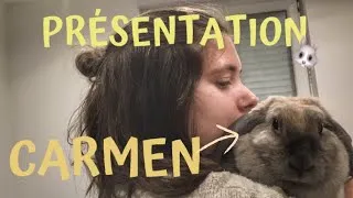 Miniature : PRESENTATION de mon lapin // Carmen