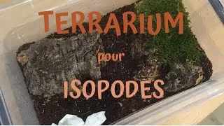 Miniature : TERRARIUM pour mes isopodes