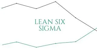 Miniature : Pourquoi le Lean Six Sigma & l'excellence opérationnelle ?
