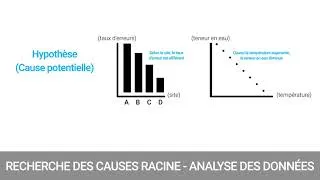 Miniature : 8 - Recherche causes véritables: l'analyse des données [DMAIC - Analyse]
