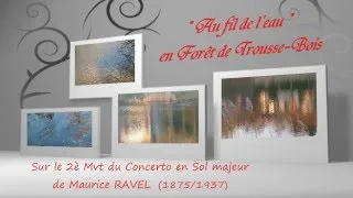 Miniature : Béatrice Lacour (lebeadelart) Musique Ravel  Poème Agnès Boez