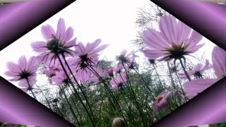 Miniature : Memo of You 06 - Shaw.C - Béatrice Lacour - AVCHD