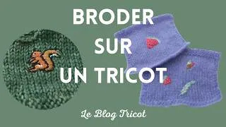 Miniature : Broder sur un Tricot