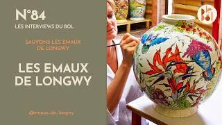Miniature : Sauvons les émaux de longwy - Emaux de longwy
