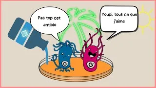 Miniature : Comment cultive-t-on les bactéries?[LBDS 5]