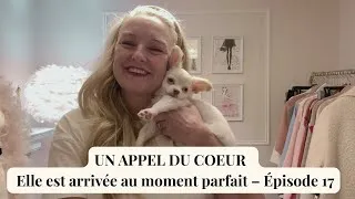 Miniature : Épisode 17 : Pourquoi j’ai ressenti l’appel d’adopter Lady Rosa Bella