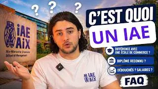 Miniature : IAE vs École de Commerce : Mon avis, admission, cours et débouchés.