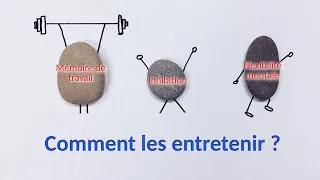 Miniature : Comment bien entretenir ses fonctions exécutives ?