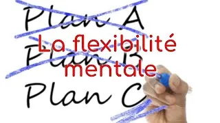 Miniature : Fonctions Exécutives : La flexibilité mentale 3/3