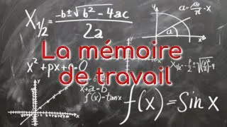 Miniature : Les Fonctions Exécutives : La mémoire de travail | 2/3