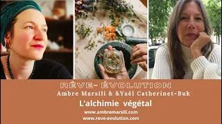Miniature : Ambre, Marsili se déployer avec l'alchimie végétale