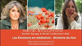 Miniature : Rachel Saraga, Les émotions en médiation: Alchimie du lien