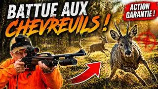 Miniature : Une Saison en Battue aux Chevreuils avec un Brocard MAGNIFIQUE !!!!