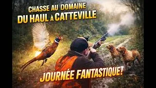 Miniature : Journée Fantastique Chasse au Domaine du Haul à Catteville au Petit Gibier et au Chien d'Arrêt!!!