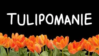 Miniature : 1637: Quand une Tulipe Valait 15 ans de Salaire (La première Bulle Spéculative)