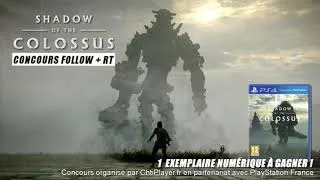 Miniature : CONCOURS : 1 JEU SHADOW OF THE COLOSSUS PS4 À GAGNER SUR TWITTER !