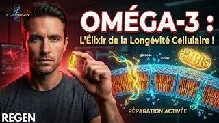 Miniature : Oméga 3   L Huile Sacrée