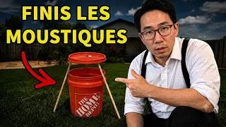 Miniature : Fini les moustiques ? Cette méthode naturelle pourrait transformer votre jardin en zone sans piqûres