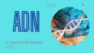 Miniature : ADN