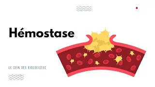 Miniature : HÉMOSTASE