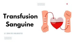 Miniature : Transfusion sanguine