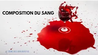 Miniature : COMPOSITION DU SANG