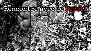 Miniature : Rencontre avec le Peyotl