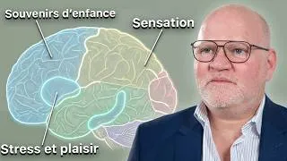 Miniature : 10 minutes pour comprendre comment fonctionne notre cerveau en 7 zones