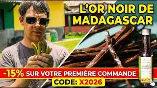 Miniature : Découvrez l'élégance de la Vanille Bourbon de Madagascar