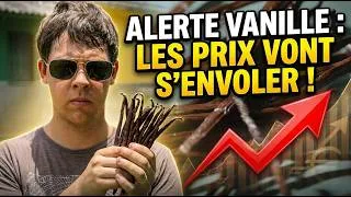 Miniature : Pourquoi le prix de la vanille va EXPLOSER en 2026 ? 🚀Une crise qui en cache une autre
