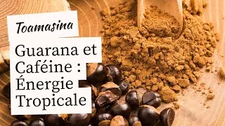 Miniature : Guarana et Hypertension : Ce "Stimulant Naturel" est-il un Risque Caché pour votre Cœur ?