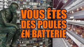 Miniature : IMMOBILIER : L'ESCLAVAGE LOCATIF