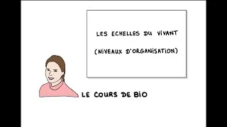 Miniature : Les échelles du Vivant (niveaux d’organisation)
